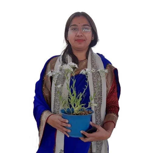 dolly sarpanch