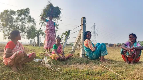 adivasi women using banashree app