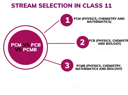 PCB or PCM Stream: What and How to Choose Class 11 Subject Combination?