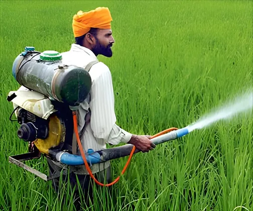 National Human Rights Commission Issues Notice To FSSAI Over Rise In  Pesticides In Food Items