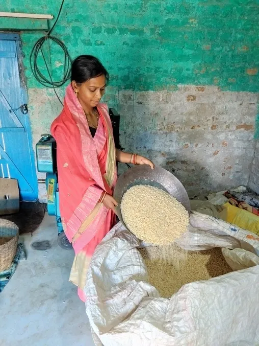 sangita majhi