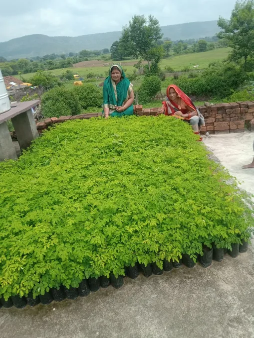 Satna pic devarany 02