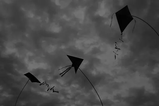 Kites | Kite sculptures in the rain. Boise, Ada county, Idah… | Flickr
