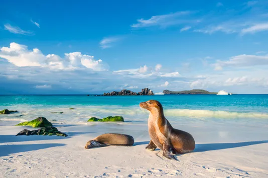 Viajar a las Islas Galápagos - Lonely Planet |  Ecuador, Sudamérica