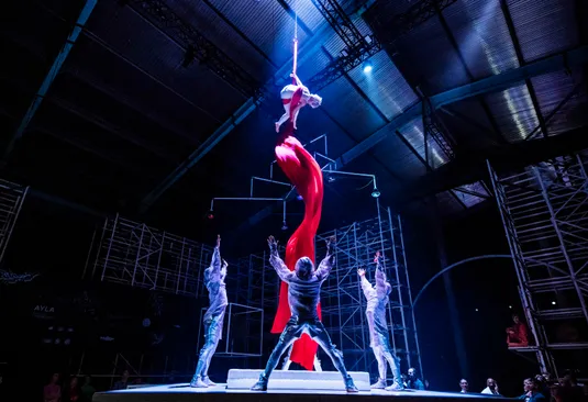 The Macallan x Cirque Du Soleil SPIRIT(1).jpeg
