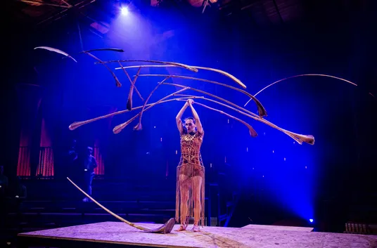 The Macallan x Cirque Du Soleil SPIRIT(3).jpeg