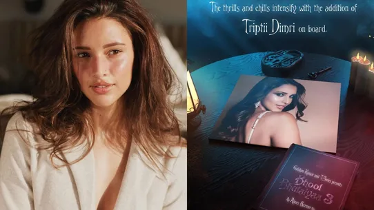 Tripti dimri to be a part of bhool bhualaiyaa 3-भूल भुलैया 3' का हिस्सा  बनीं नेशनल क्रश तृप्ति डिमरी | Jansatta