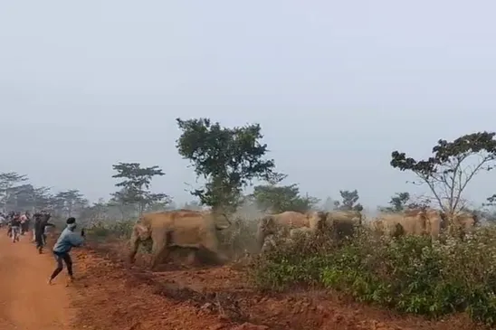 WhatsApp Image 2025-01-01 at 19.55.17