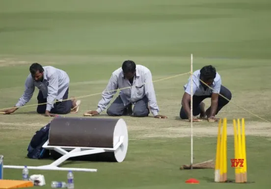cricket stafd