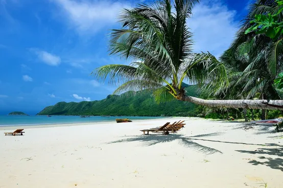 Con Dao Island: A Paradise to Explore - Travel Guide -
