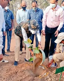 मुख्यमंत्री शिवराज पहुंचे पन्ना, लगाया बरगद का पौधा