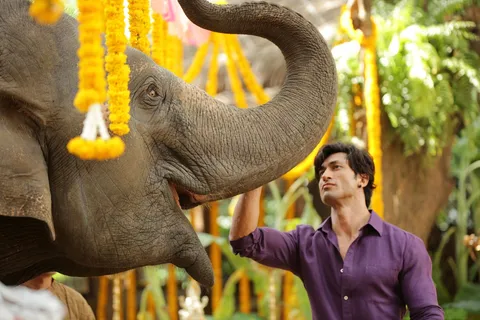 For Vidyut Jammwal, It Was The Biggest High Of His Life When The Elephant Understood His Command For The First Time