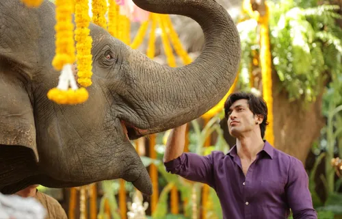 I Didn’t Realise That I Was Risking My Life, Vidyut Jammwal