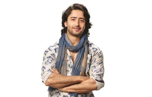 I Wrote My Own Shayaris For A Few Episodes: Shaheer Sheikh