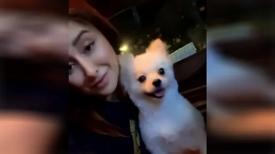 Amidst the breakup rumours Mahira Sharma posts an Instagram story with her pet singing, "Bitches come and go, But you know I stay" , fans direct it towards Paras Chhabra