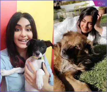 After the huge success of 'The Kerala Story,' actress Adah (Sharma) has become a sensation in both Bollywood and Hollywood. Has Ada's sweet whistles created a magic?