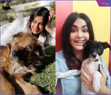 Adah Sharma says The Indian film industry is a very supportive place and shares a video of dogs she met on set  !!