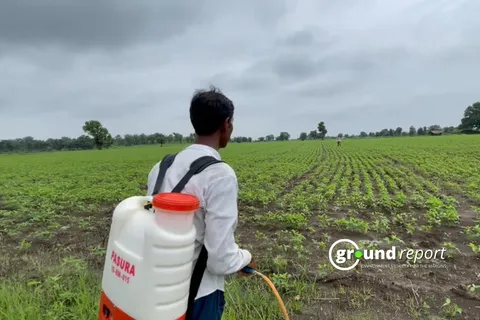 Pesticides