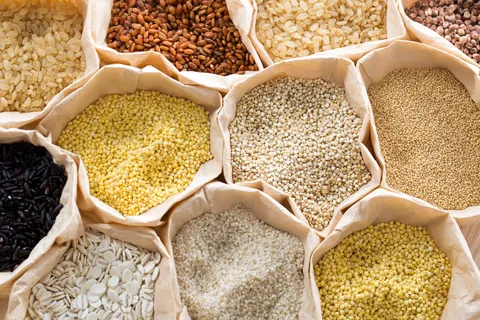 Millets: Ancient Grains Making a Comeback in the Western World