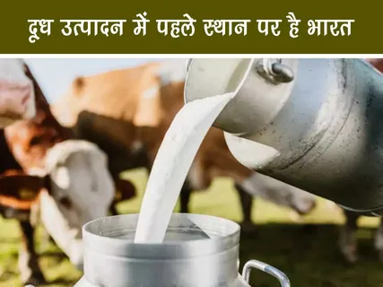 Fun Facts: दूध उत्पादन में पहले स्थान पर है भारत