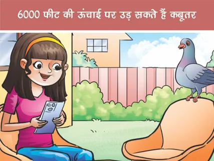 Fun Facts: 6000 फीट की ऊंचाई पर उड़ सकते हैं कबूतर