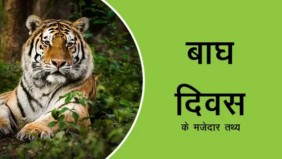 बाघ दिवस कब मनाया जाता है और जाने बाघ के बारे में मजेदार तथ्य शिकार