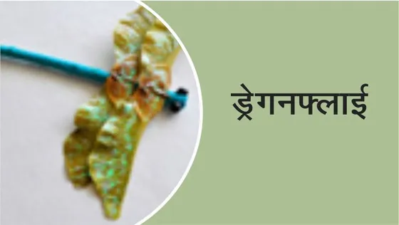 Craft Time : असली ड्रेगनफ्लाई पतंग कैसे बनायें