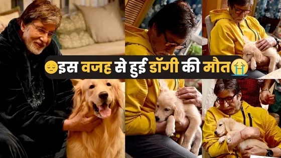 Amitabh Bachchan Pet Dog: बिग बी के पालतू डॉगी का हुआ निधन, ये बनी मौत की वजह