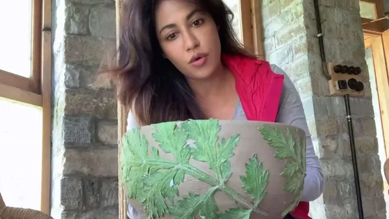 अभिनेत्री Chitrangda Singh जानती हैं कि लॉकडाउन में प्रेरित और सकारात्मक कैसे रहें।