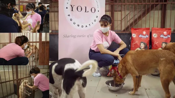 Jacqueline Fernandez की 'YOLO Foundation' ने स्ट्रे एनिमल्स की मदद के लिए उठाया बड़ा कदम