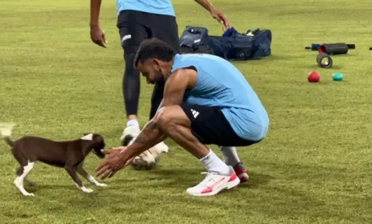 Virat Kohli Plays with Little Puppy during Practice Session in Colombo Ahead of Super-4 Match