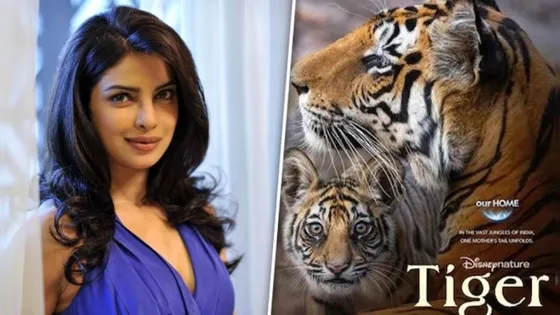 Tiger review: Priyanka Chopra brings a sense of attachment with her narration style
