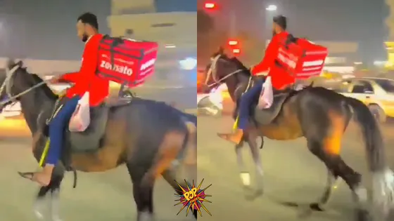 WTF NEWS: Zomato Rider Beats Fuel Shortage & Long Queues with Horse Delivery; Watch Viral Video