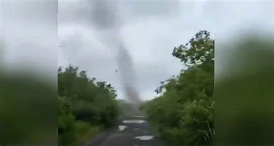 Uncontrollable 'Mosquito Tornado' Ravages Pune, Wreaking Havoc on Unprepared Residents'