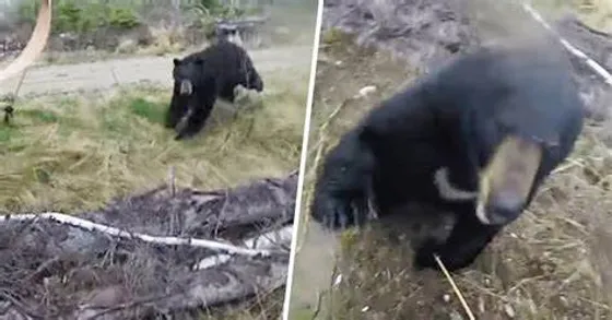 "Close Encounter: Trekker's Viral Video Captures Near-Death Bear Experience"