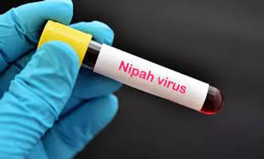 Nipah virus suspected behind ‘unnatural’ deaths in India: Causes, risk factors, symptoms, treatment