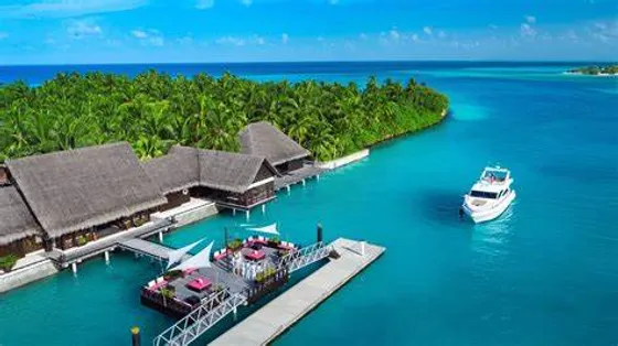 Island Paradise Gets a Touch of Luxury: TATA Group's Plans for 2 Taj Resorts in Lakshadweep