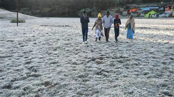 Ooty shudders as temperature drops to 1°C, a chilling surprise!