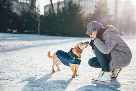 Keeping Pets Safe: Winter Tips for Caring for Your Furry Friends and Community Animals