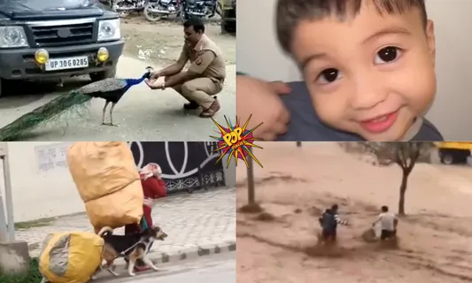 WATCH 10 VIRAL VIDEOS: From A Policeman's Friendship With Peacock, A Dog Helping Rag Picker To A Woman Objecting Bus Conductor For..