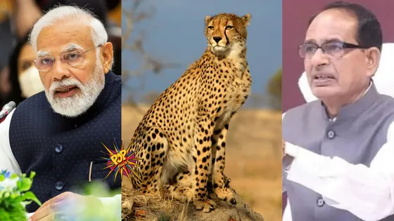 PM Narendra Modi Calls High-level Meeting After Cheetahs’ Being Killed In Kuno, MP