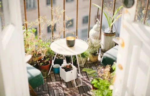 Transforming Your Balcony Into A Garden: An Ultimate Guide!