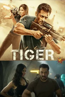 Tiger 3: After This Fiery Teaser Of Salman Khan and Katrina Kaif Starrer How Can We Keep Calm Till The Next Year? Release Date Is Out