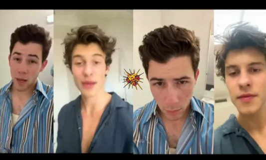 Shawn Mendes and Nick Jonas In A TikTok Remix Video Together? See Hilariously Viral Clip ASAP