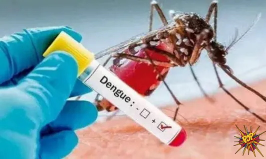 Warning: Dengue's new D2 strain can lead to high grade fever and shock syndrome, know How to stay safe: