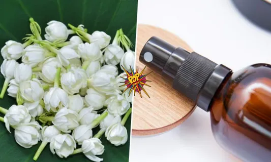 Mogra Water Benefits For Skin: Here's the Jasmine Mist That You Can Prepare At Home!