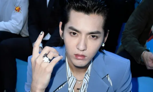 Louis Vuitton, Porsche, Lancome, And Other Brands Cut Ties With Chinese-Canadian Celeb Kris Wu Following Teen His Sex Alligations