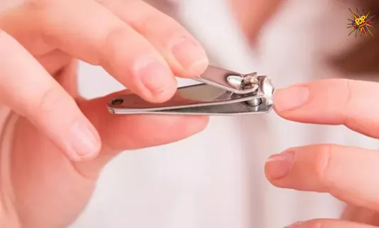 Want dreamy nails? Then check out these top 6 nail clippers to groom your nails in 2021:
