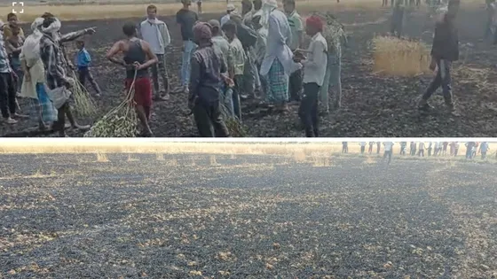 Panna: गेहूं की खड़ी फसल में शॉर्ट सर्किट से लगी आग, किसानों की खड़ी फसल जलकर हुई राख