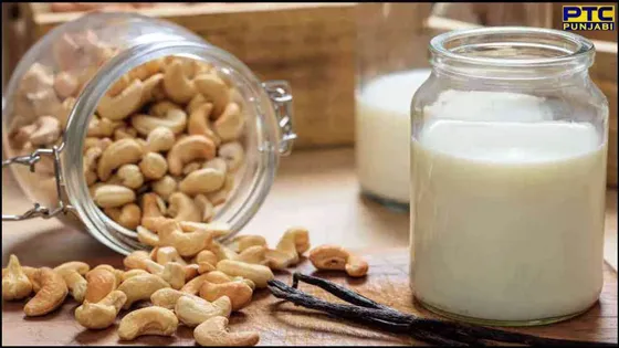Cashew Milk Benefits : ਜੇਕਰ ਤੁਸੀਂ ਵੀ ਭਾਰ ਘਟਾਉਣਾ ਚਾਹੁੰਦੇ ਹੋ, ਇਸਤੇਮਾਲ ਕਰੋਂ ਕਾਜੂ ਦਾ ਦੁੱਧ